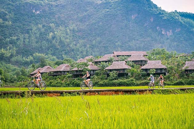 kinh-nghiem-an-choi-di-tai-villa-hoa-binh-an-nhien-garden